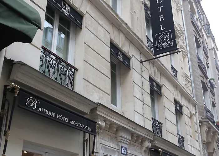 Boronali Parigi