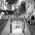 Boronali 3* Paris